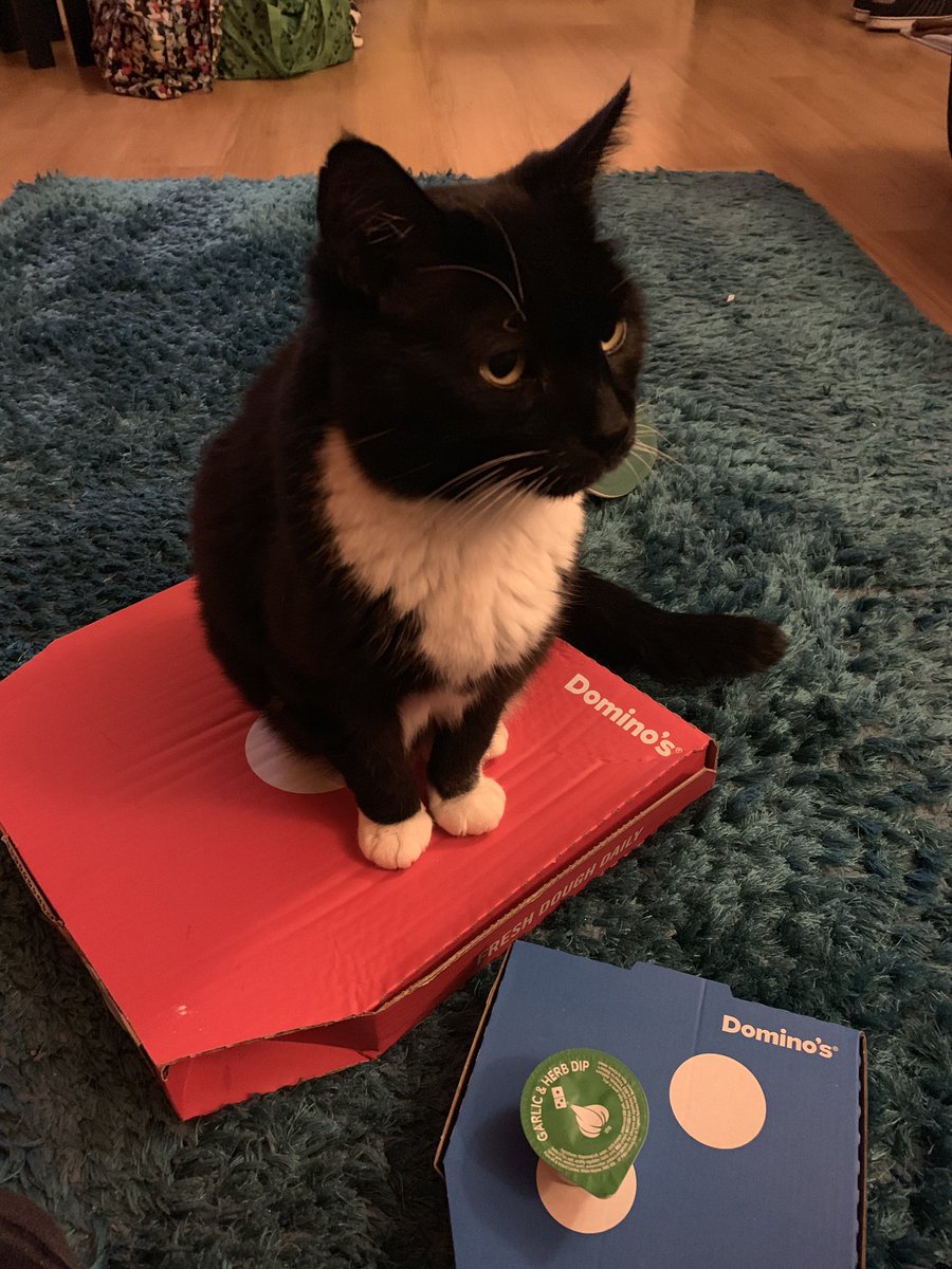 Ian_Radley's tweet photo. Clearly no one else is allowed anymore pizza, just as well the box is empty! https://t.co/eSqriN8OBS