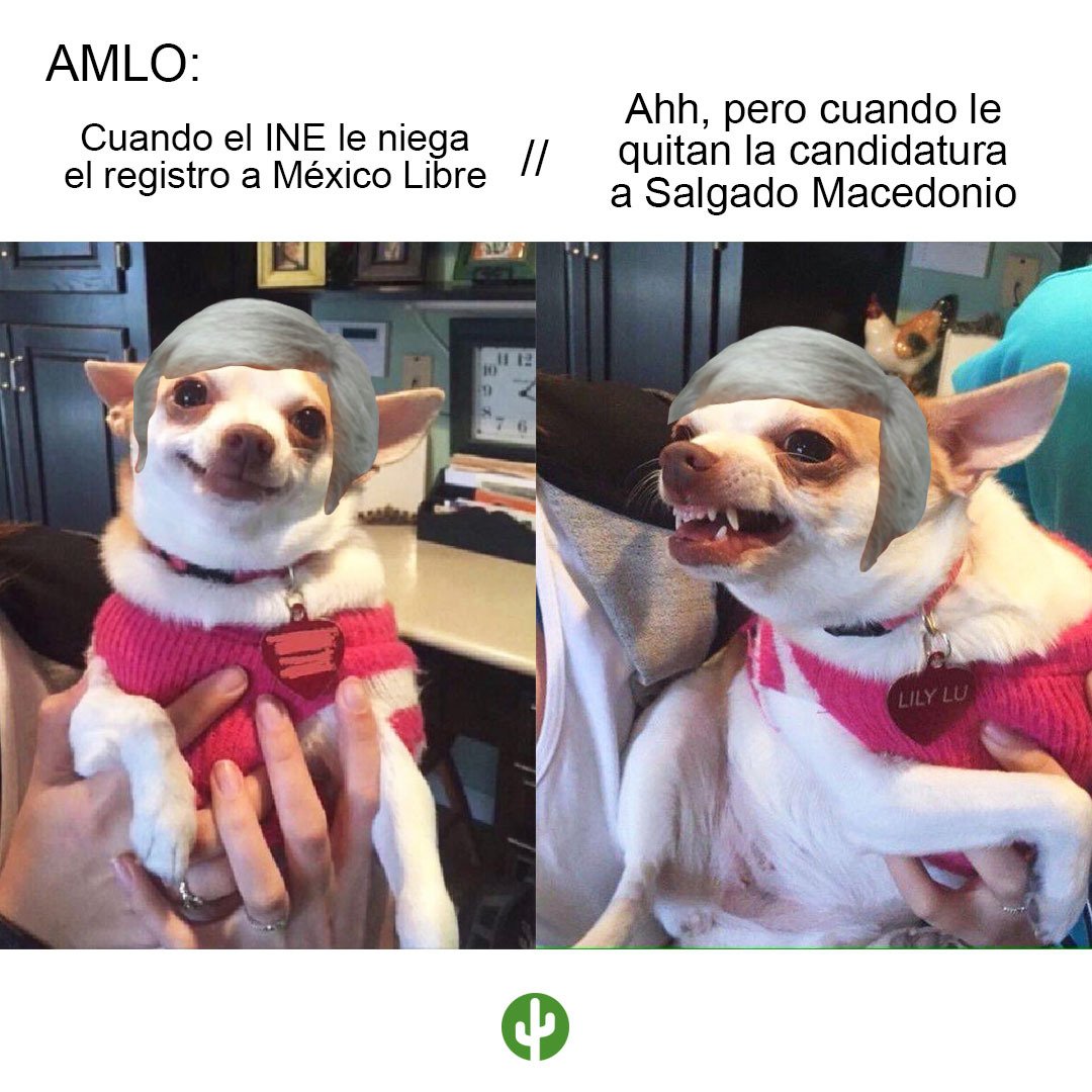 eldeforma's tweet image. La hipotenusa