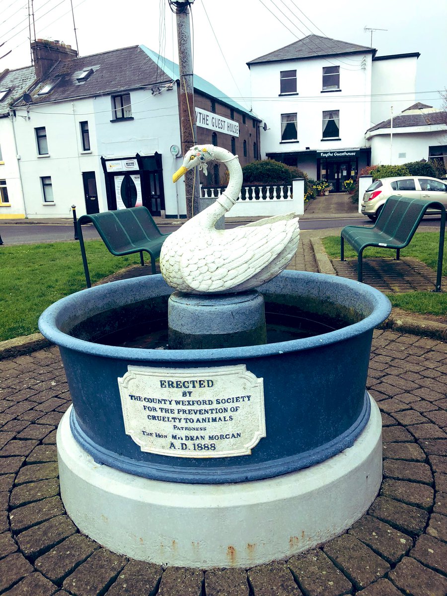 AMCULL's tweet photo. Day 85 #100daysofwalking
Swanning our way to the 100 day mark ๐ฆข
#wexford #theswan #thefaythe #lockdown2021 #5kmfromhome #wspca https://t.co/cKm4wAre1l