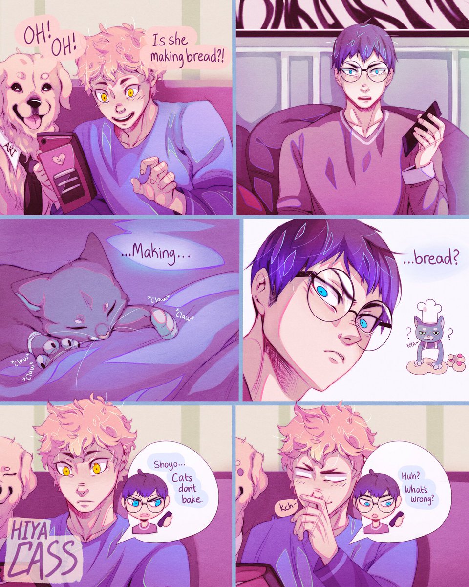 [HQ] Making bread ? 
kagehina veterinarian/pet-groomer AU 