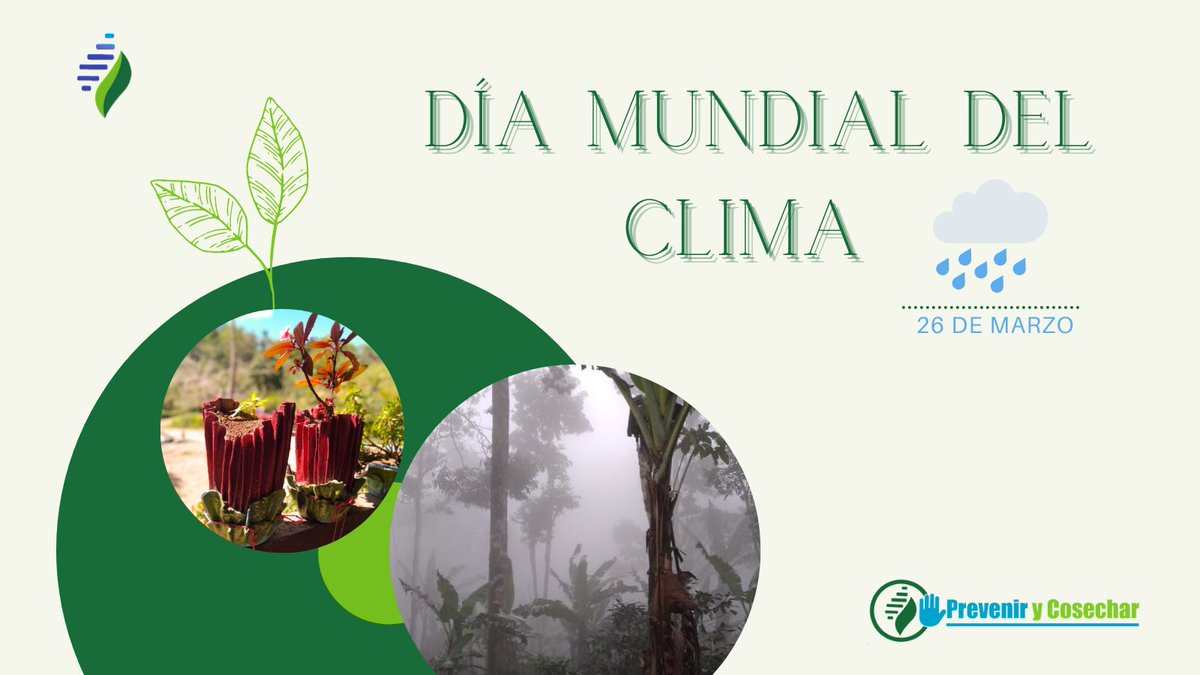 Aldea Global tweet media