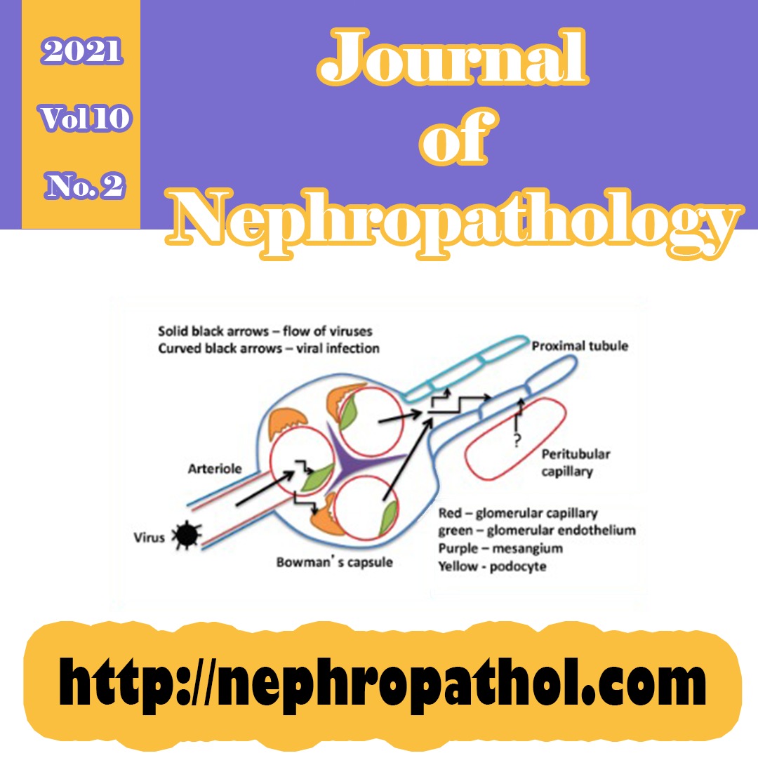 day_iran's tweet photo. #renalpath #nephropathology #kidneypath https://t.co/l1YCg1tsGR