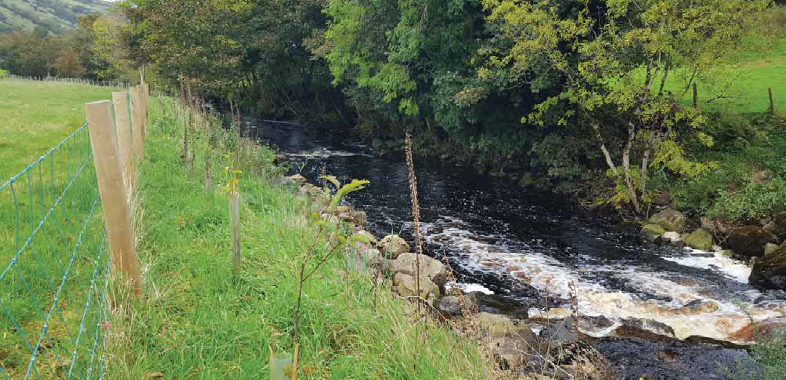 teagasc's tweet photo. De ghnáth, le linn cuairt feirme, pléitear na bealaí praicticúla is fearr chun bainistíocht a dhéanamh ar an talamh, ar chlós na feirme agus ar scaipeadh leasú. Tuilleadh eolais ar https://t.co/xCogZ5u4Cl #WaterQualityWeek @TeagascEnviron https://t.co/dJIp4s93JT