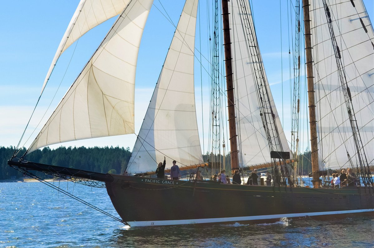Today marks the 100th anniversary of the Bluenose's launch! 🥳🍾What an impact this Canadian icon has had on the sailing community. We're sending a wave and congrats from the deck of Pacific Grace on this historic day - happy 100th anniversary! #bluenose100