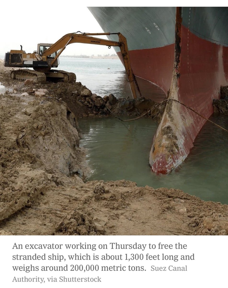 Sara Freund tweet media