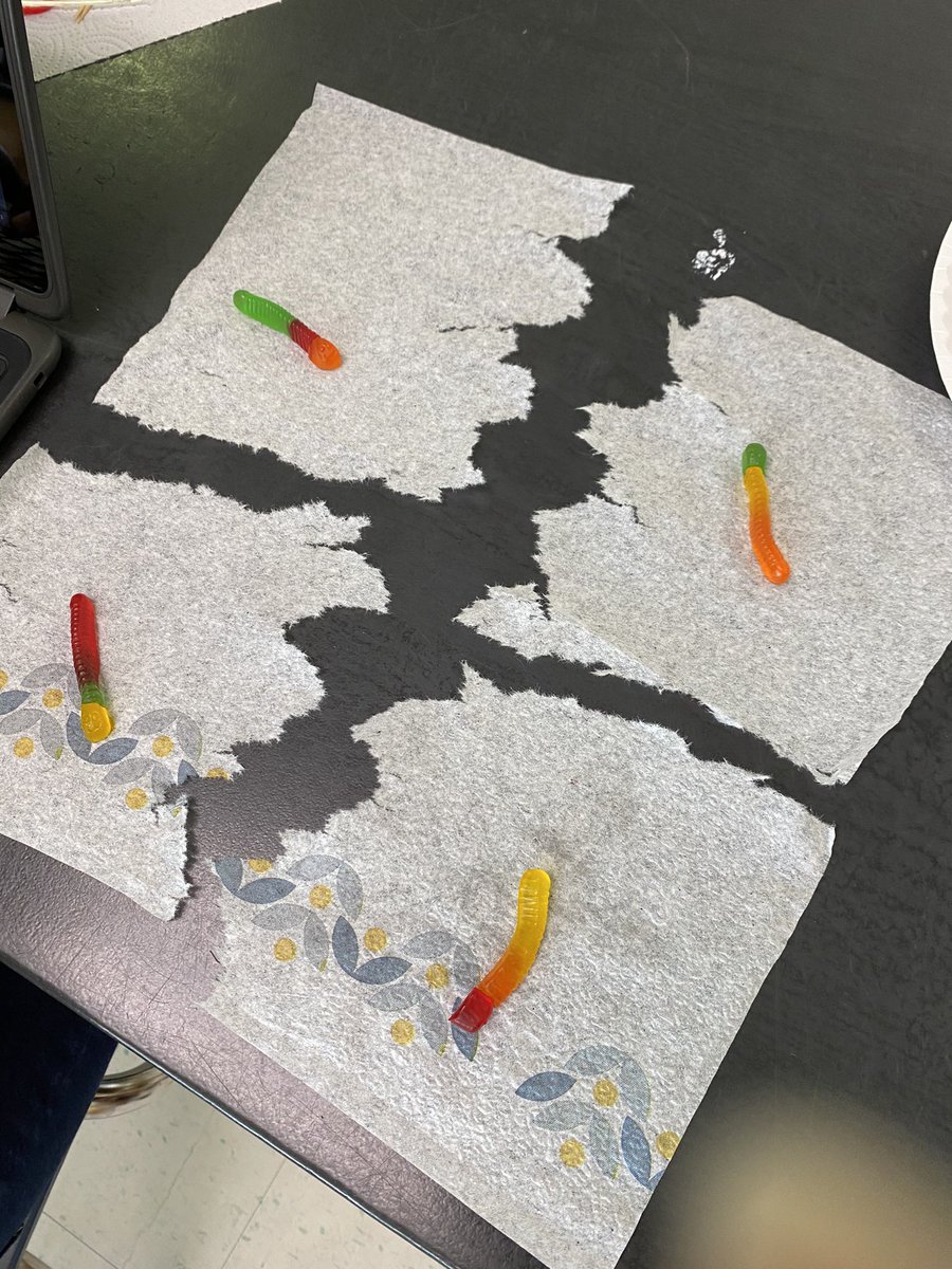Hahn_science's tweet photo. Gummy worm mitosis and meiosis!!!  @ThomasDAnnunzio @PBCSDScience https://t.co/03Qyt0U0Wx