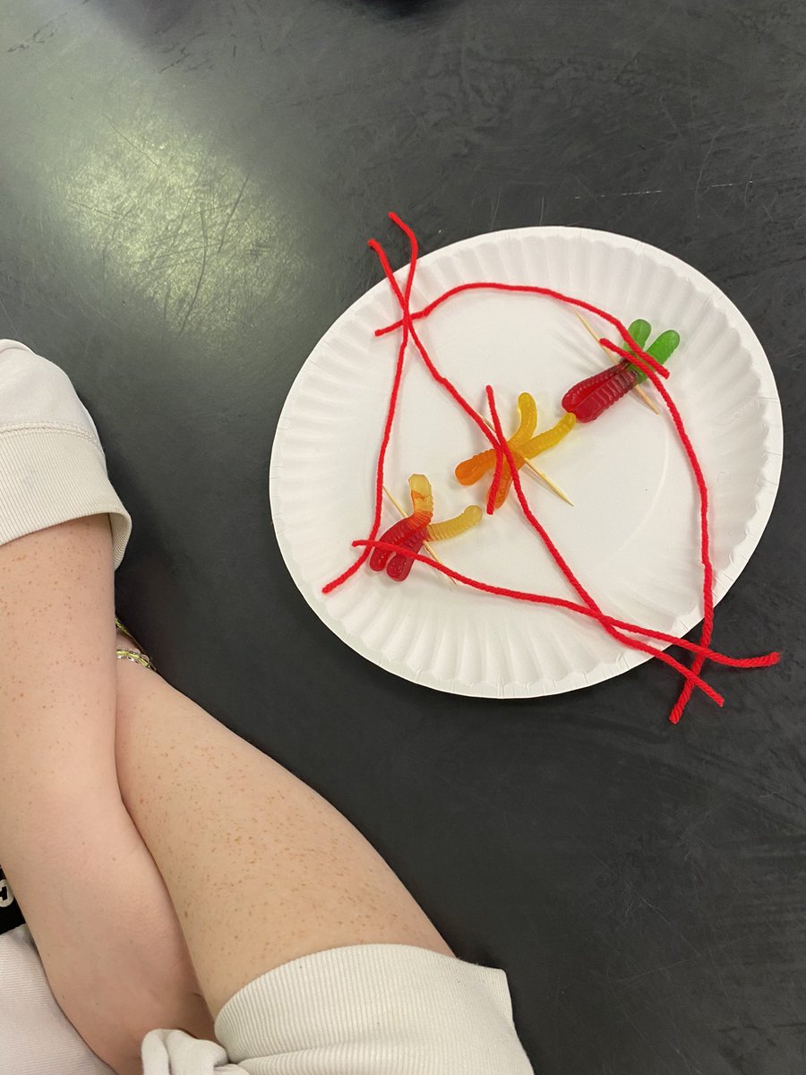 Hahn_science's tweet photo. Gummy worm mitosis and meiosis!!!  @ThomasDAnnunzio @PBCSDScience https://t.co/03Qyt0U0Wx