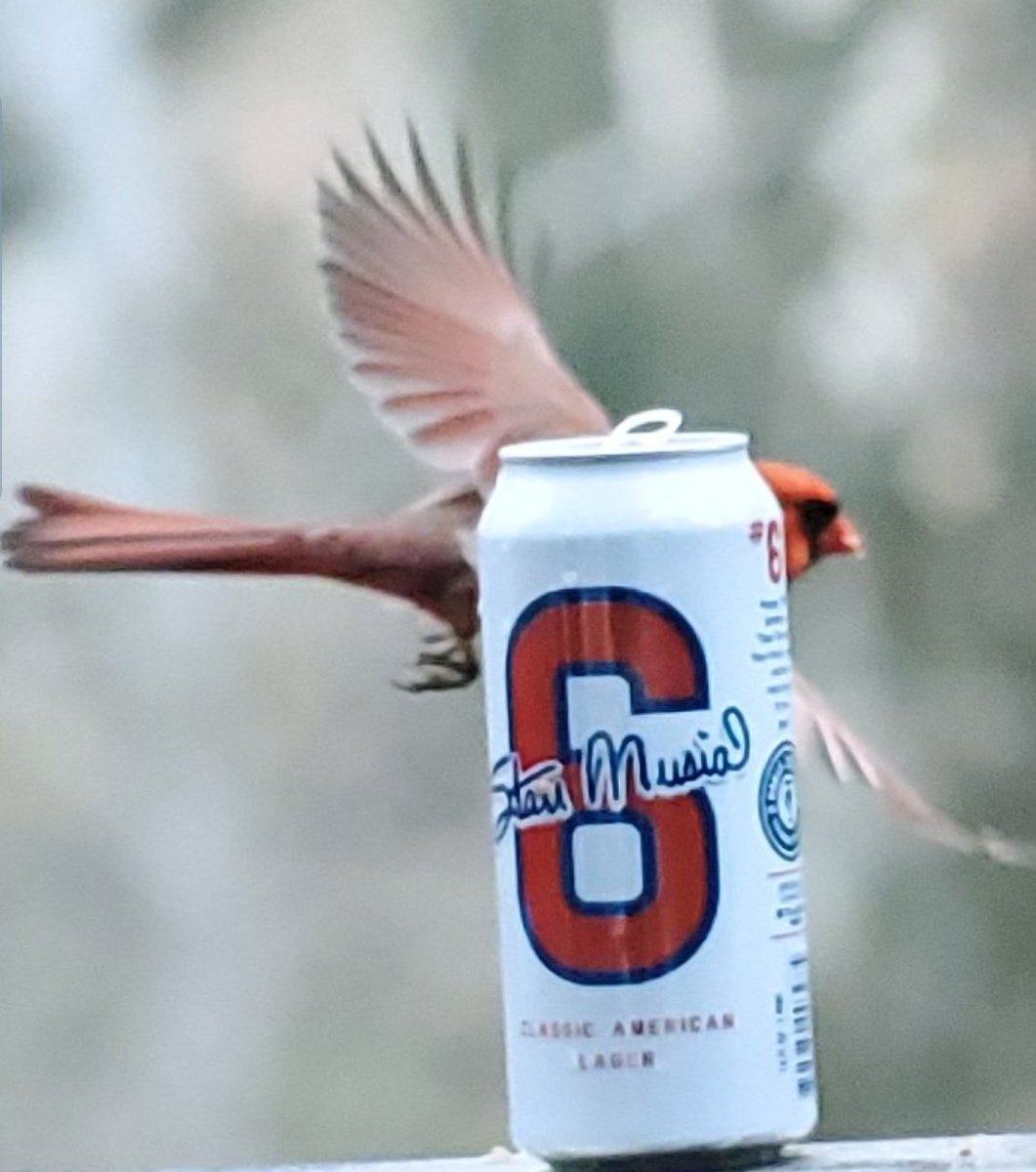 AtipofMYredSTL's tweet photo. @SchnucksBeerGuy @SchnuckMarkets @urbanchestnut @4HandsBrewingCo Need to add this up top! Just LMK
#StanMusial #DrinkMOBeer #repSTL #FlyRedbirdFly https://t.co/ITfbVeAGlM