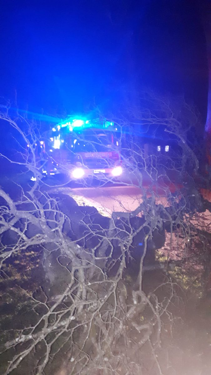BibsGaming's tweet photo. So Mal wieder nächtlich unterwegs, Baum war müde und fiel bei beinahe völliger Windstille um... #EinsatzFw #112 #Feuerwehr https://t.co/g5Vm56MADQ