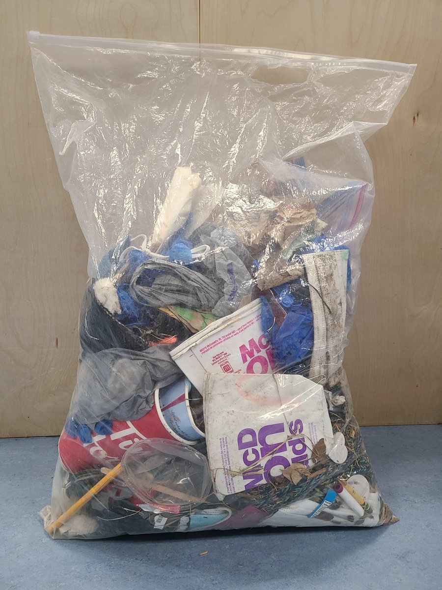 Mr. Snoxell's Grade 2 class spent time this week showing off their leadership skills <a href="/Heloise_Lorimer/">Heloise Lorimer School</a>!  Students initiated a garbage clean-up of our school field.  They were so excited and we are so very proud! 😁 #rvsed #abed #environmentalists #leaders #airdrie