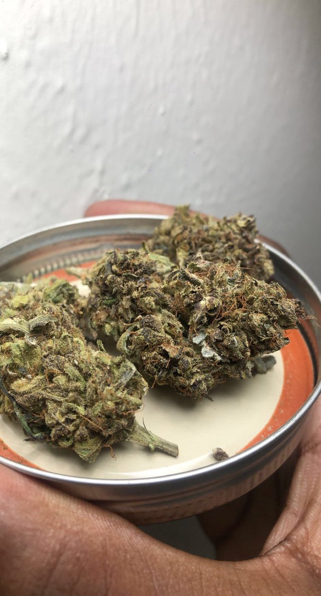 greatsagetree's tweet photo. G R A P E  H I  C H E W   ⛽️🤤🍇  the nose on this is crazy 🤯 gets a white ash too 👀   Dallas Plano Arlington Fort Worth plug mobile https://t.co/DuMPQ9Sewq