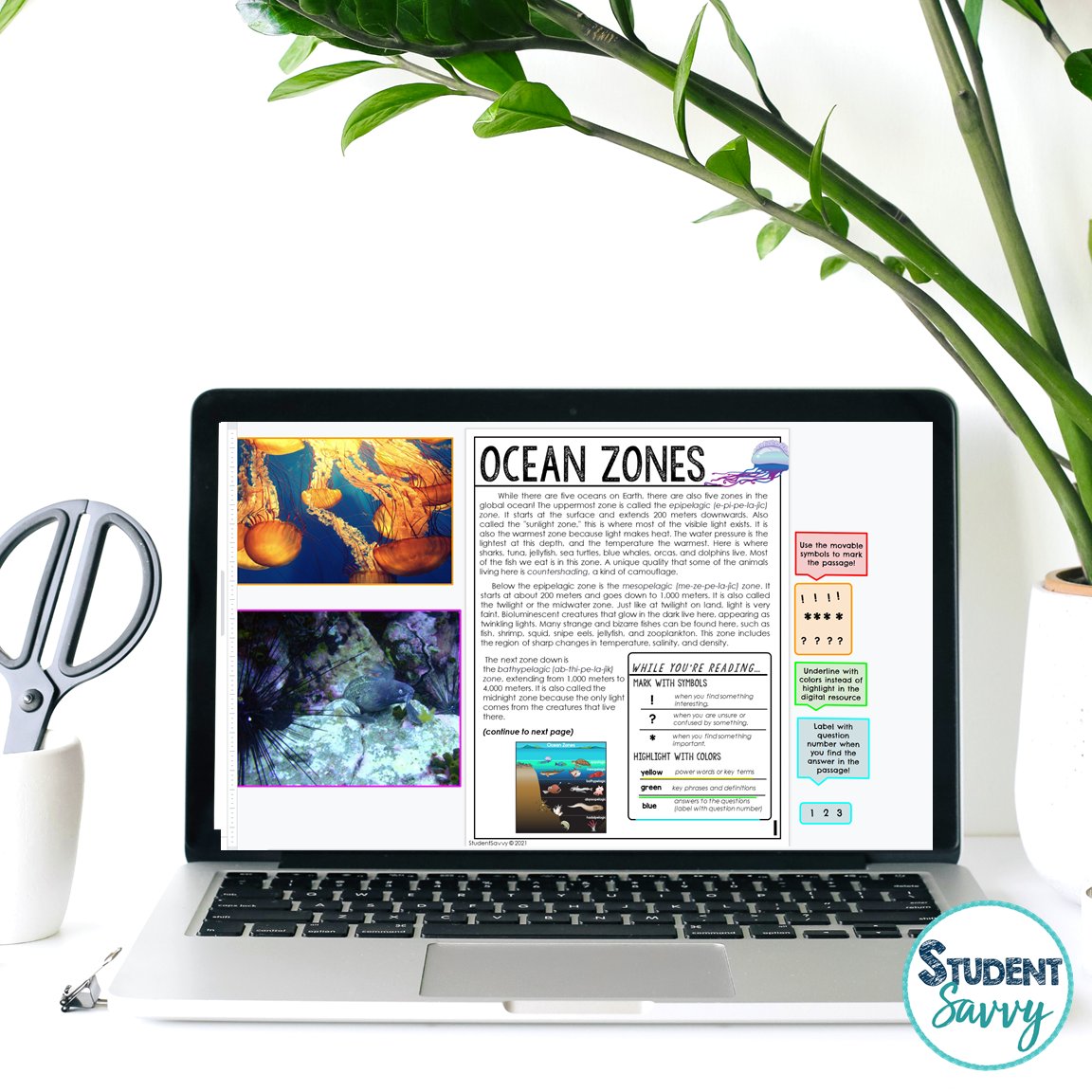 studentsavvysuz's tweet photo. Ocean Worksheets - Reading Comprehension Passages, Questions, and Annotations 🌊 This resource is designed for an Ocean unit. It contains 5 Engaging, Non-Fiction Reading Comprehension Passages with Directions for Student Annotations! > https://t.co/Kf9OftfBw7 https://t.co/qX1DeR4fpa
