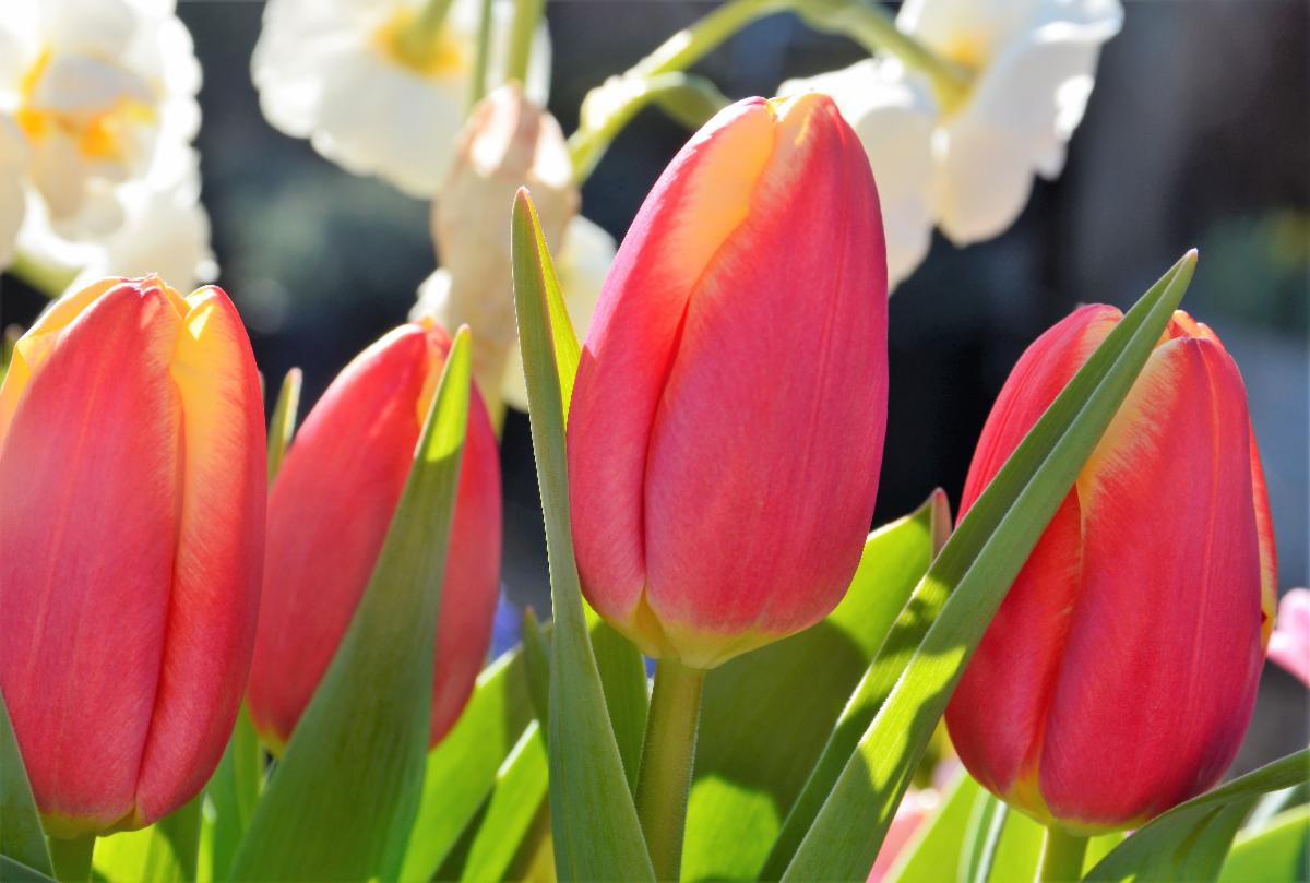 PSICleanEquip's tweet photo. Holiday Hours on April 2nd https://t.co/dINoK4dm7m https://t.co/phSvIAGtoD