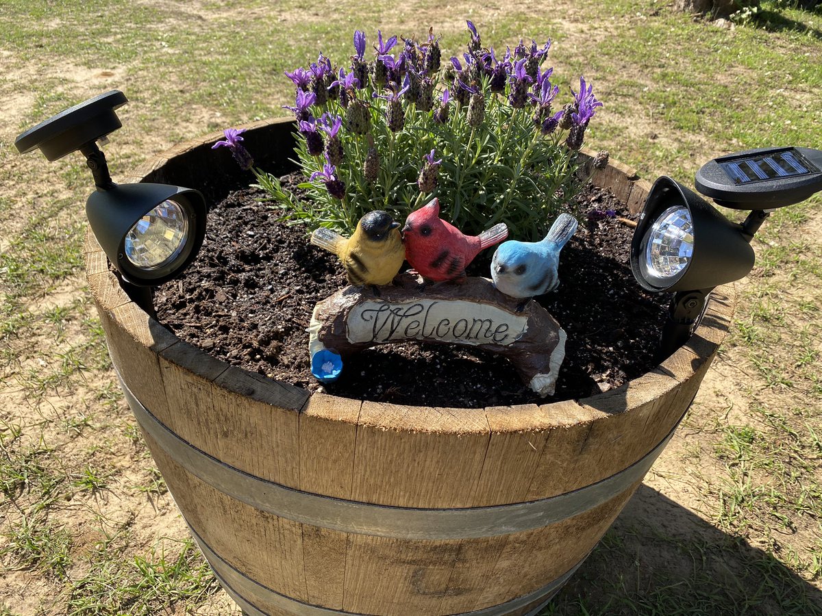 MzzQuinzel's tweet photo. I am in East Texas near the Louisiana border. Hereโs my front yard ๐ I love this place! #SpringTimeInTexas #EastTexas #HomesteadLife #HodBlessTexas #freedom #AnimalCrossing #PatriotRepublicFarms #naturelovers #butwaittheresmore https://t.co/pjzZkuOSZ7