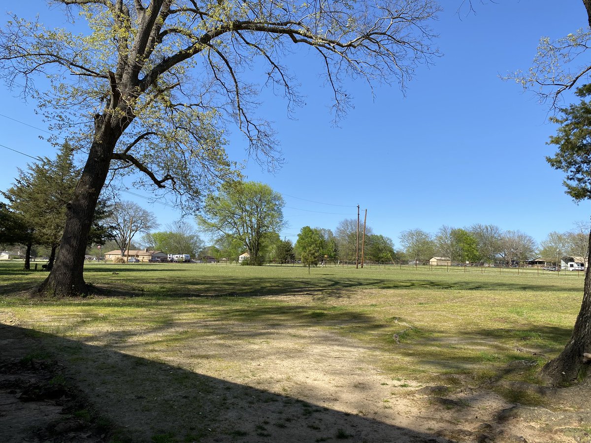 MzzQuinzel's tweet photo. I am in East Texas near the Louisiana border. Hereโs my front yard ๐ I love this place! #SpringTimeInTexas #EastTexas #HomesteadLife #HodBlessTexas #freedom #AnimalCrossing #PatriotRepublicFarms #naturelovers #butwaittheresmore https://t.co/pjzZkuOSZ7