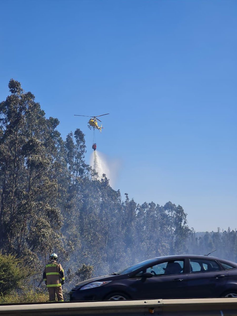 CONAF - Corporación Nacional Forestal tweet media
