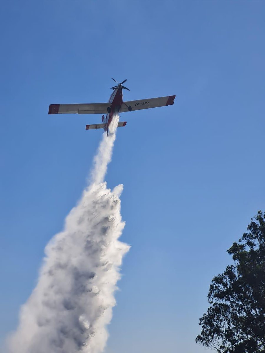 CONAF - Corporación Nacional Forestal tweet media