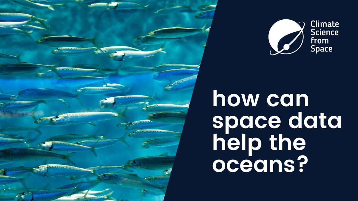 CSS_Conference's tweet image. 71% of the Earth’s surface is covered by oceans 🌊 that are under stress because of pollution and climate change affecting ecosystems and biodiversity.
Can data space help reverting this situation? Answers will be provided at @CSS_Conference. Register today!
#climatesciencespace