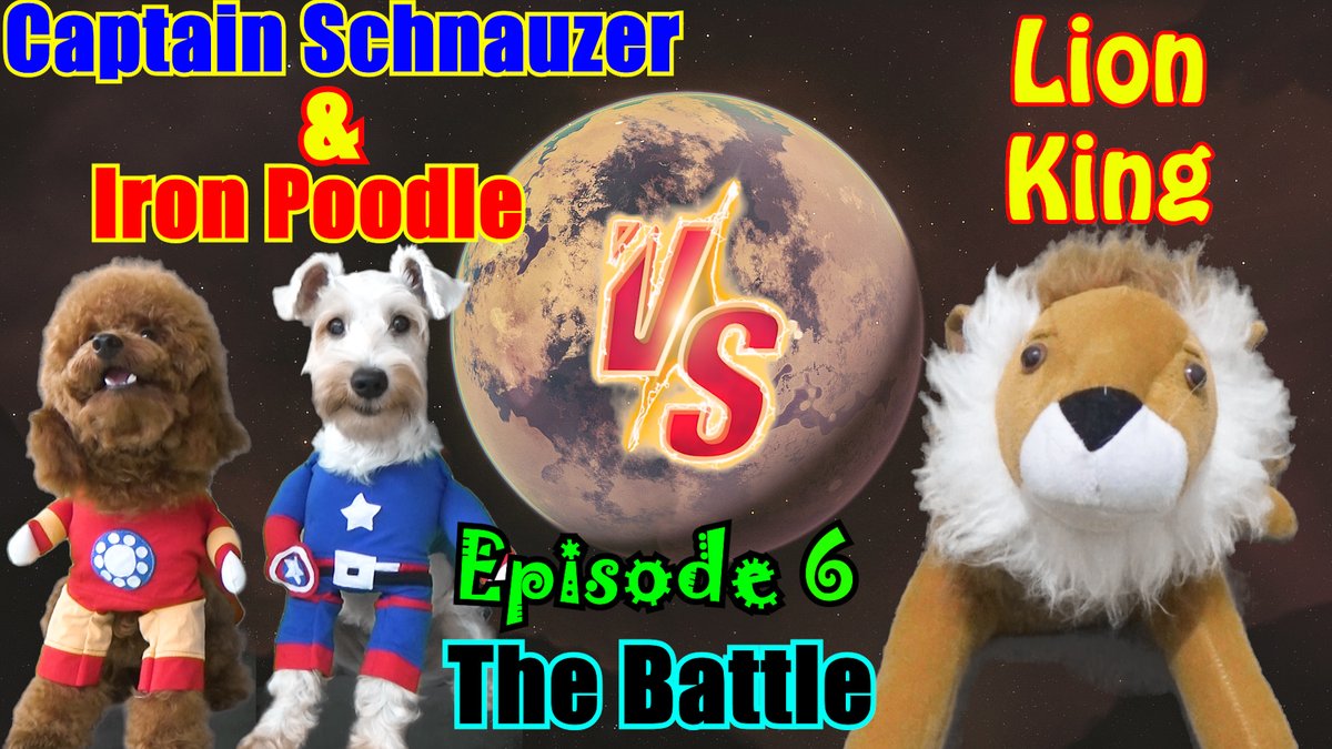 LalaAndLilyDogs's tweet photo. Iron Poodle &amp; Captain Schnauzer-Episode 6
https://t.co/S73aPZGZLh

#puppiesofinstagram #dogsoftwitter #DogLover #dogsofinstagram #funnydogs #funnydogvideos #dogs #cutedogs #cutepetclub #PuppyHoney #Schnauzer #toypoodle #IronMan #CaptainAmerica #Marvel #dog #FunniestVideos #puppy https://t.co/wM4P5ZQfMU