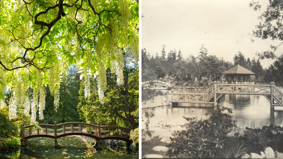 Royal Roads tweet media