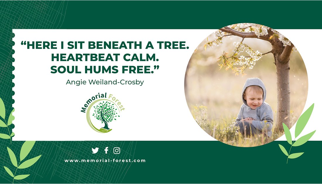MemorialForest1's tweet photo. Inspiration for a peaceful weekend. 🌳💚
#memorialforest https://t.co/LhYbsQhL6g