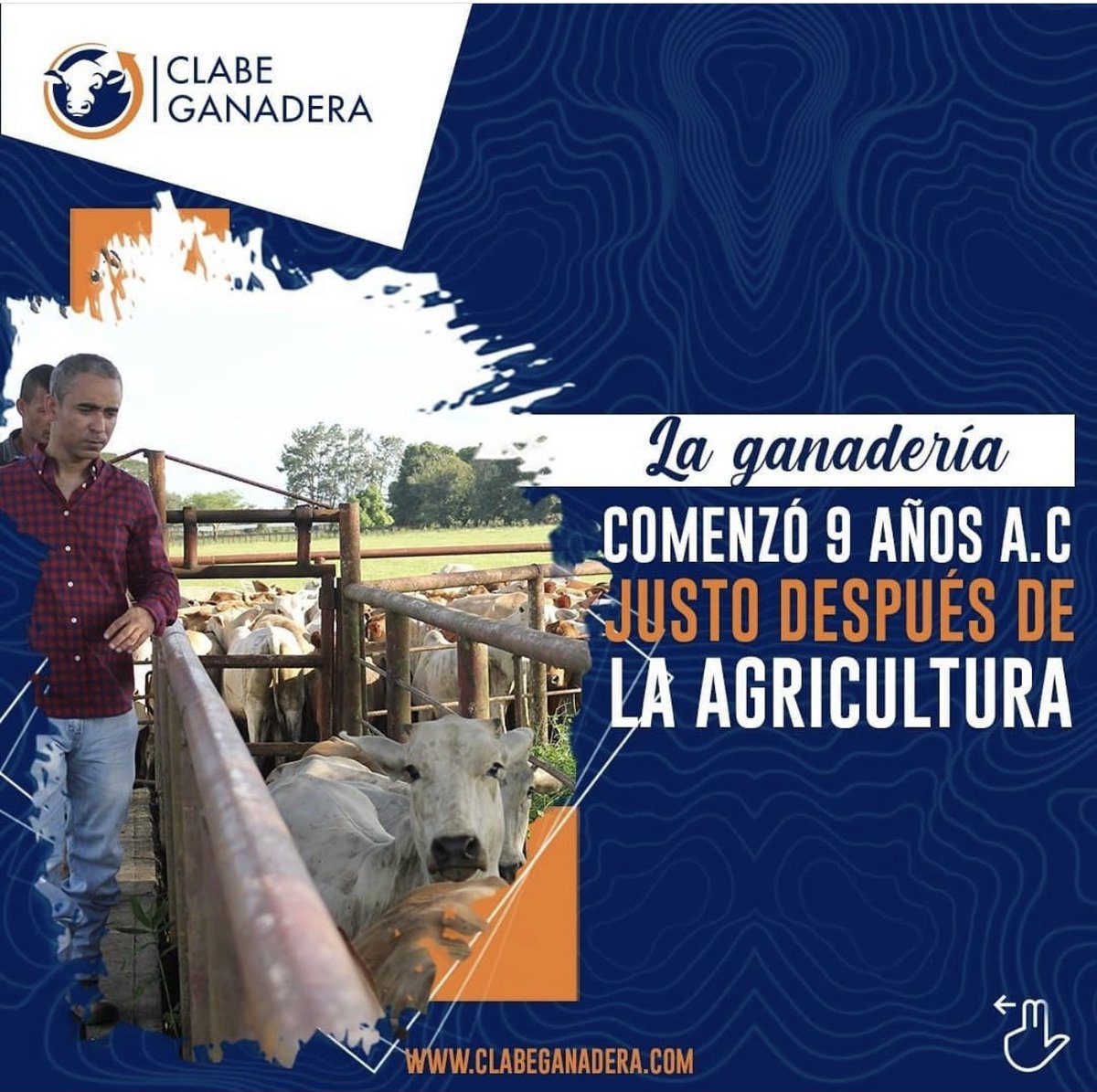 ClabeGanadera's tweet photo. También te sorprenderás cuando sepas que una #Vaca puede vivir entre 18 y 25 años.
Además, la carne de ganado #BosTaurus es más tierna y apreciada que la del #BosIndicus.
Tú también puedes ser ganadero sin tener un gran capital o una finca. ¡Pregúntanos cómo! https://t.co/2R0T7GB1Rq