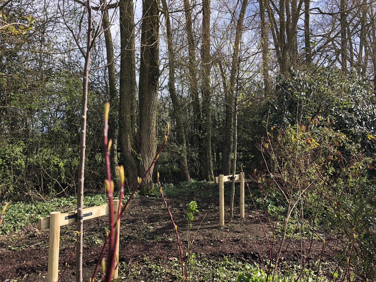 samfarmhandhunt's tweet photo. A lovely opportunity to plant some #uknative tree species this week: Prunus Padua, Sorbus Aria, Pyrus communist and Tilia platyphyllos all going in on a wildlife walk in Oxfordshire #suppliedbyviridis https://t.co/QwNC14pq7T