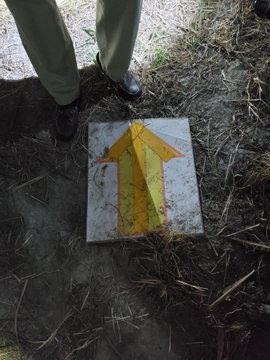 Image of an arrow on the ground to direct immigrants to processing facilities. 