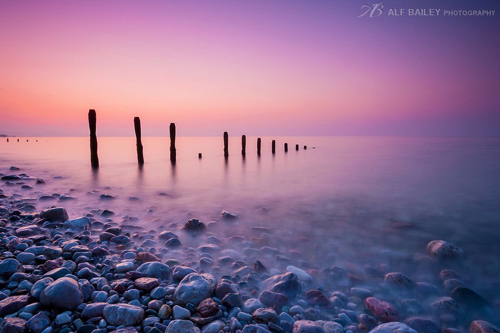 ToniArte2's tweet photo. @Tina69911364 @toiblarlos @xavierdaniel999 •
#PurplePicture
•
#AlfBailey
• https://t.co/y2X8pfXNCJ