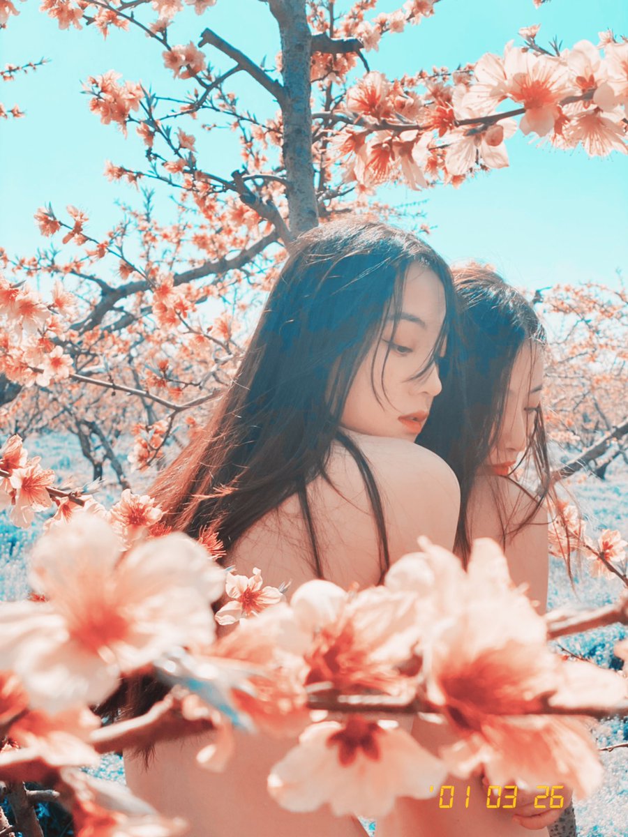 Peach Blossom

@qinweiyingjie 
@Pumpkinmua_ https://t.co/WqZ7fH1TYm