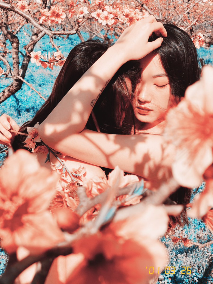 Peach Blossom

@qinweiyingjie 
@Pumpkinmua_ https://t.co/WqZ7fH1TYm