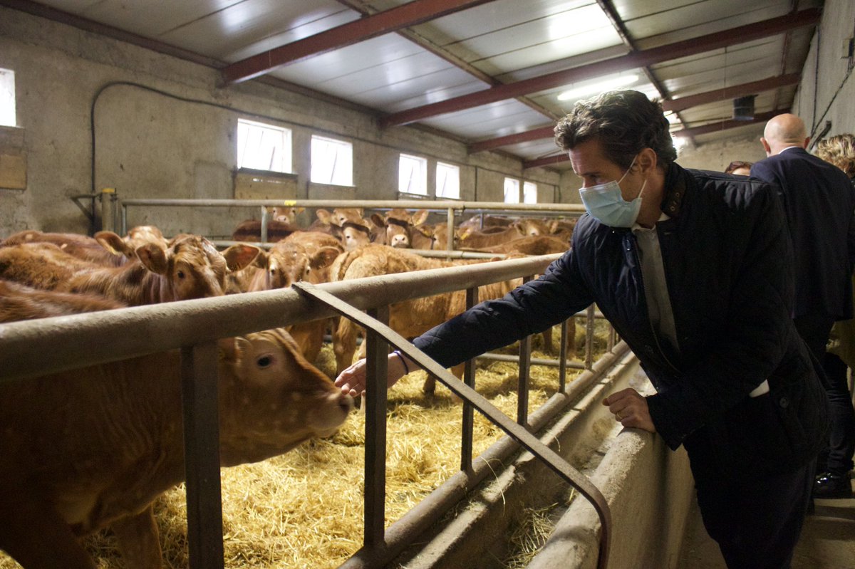 ElanOccitan's tweet photo. Dans le ségala, à la rencontre de Catherine et Gilles, éleveurs de veaux. 

Une exploitation exemplaire sur la condition animale et l’environnement (100% local/label Rouge).

Notre projet s’inscrira dans la défense de nos terroirs et de leurs richesses !

#VTN2021 #Aveyron https://t.co/qVilUSCDVb