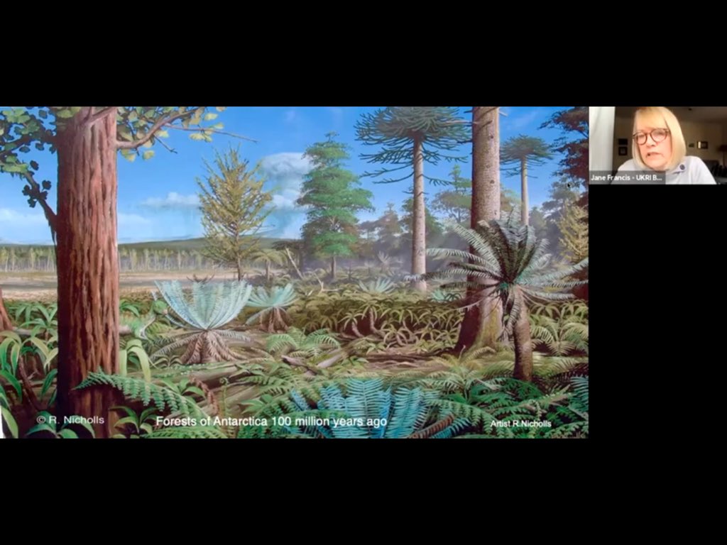 helen_hm11's tweet photo. Did you know that Antarctica once looked like this!! Talk today by Dame Jane Francis, DIrector of the British Antarctic Survey, on the BAS YouTube channel. https://t.co/plDyER4OUn
