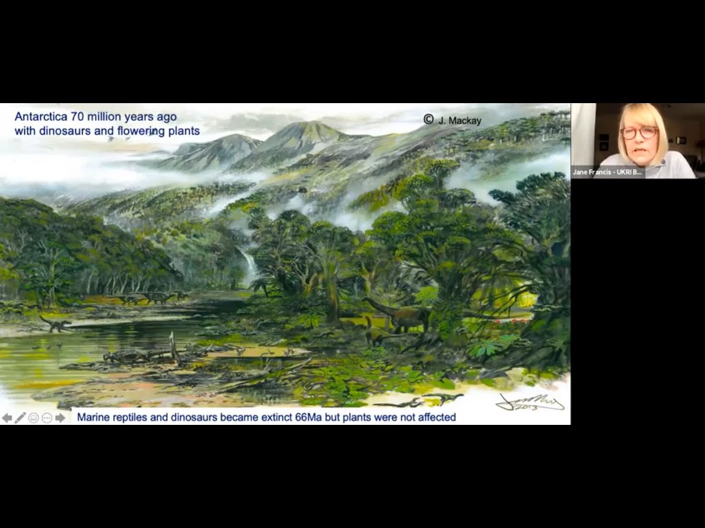 helen_hm11's tweet photo. Did you know that Antarctica once looked like this!! Talk today by Dame Jane Francis, DIrector of the British Antarctic Survey, on the BAS YouTube channel. https://t.co/plDyER4OUn