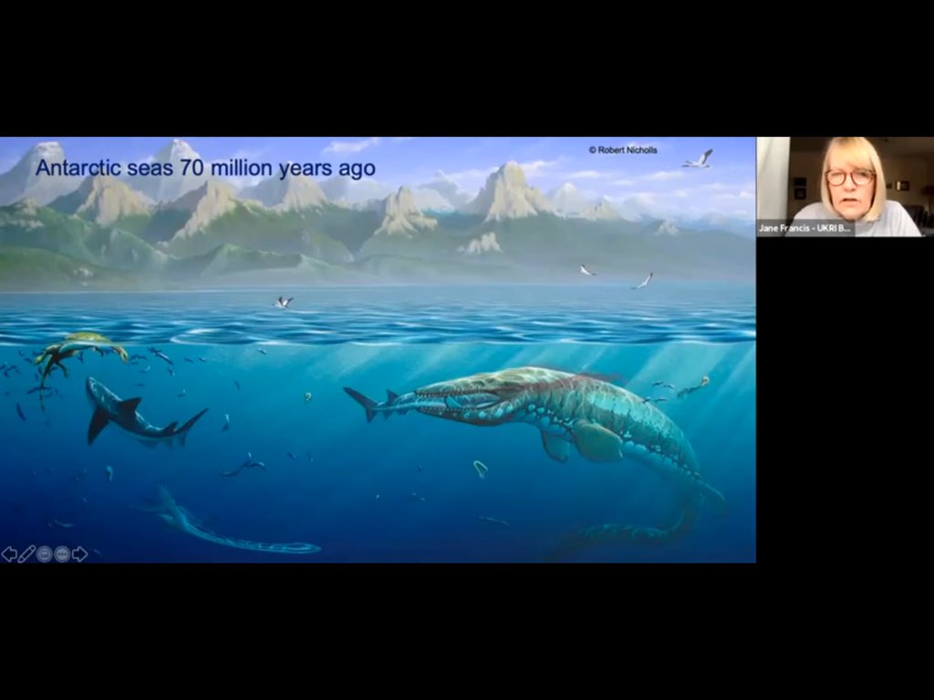helen_hm11's tweet photo. Did you know that Antarctica once looked like this!! Talk today by Dame Jane Francis, DIrector of the British Antarctic Survey, on the BAS YouTube channel. https://t.co/plDyER4OUn