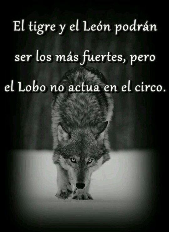 cuwa40's tweet image. 🙃❤🔥