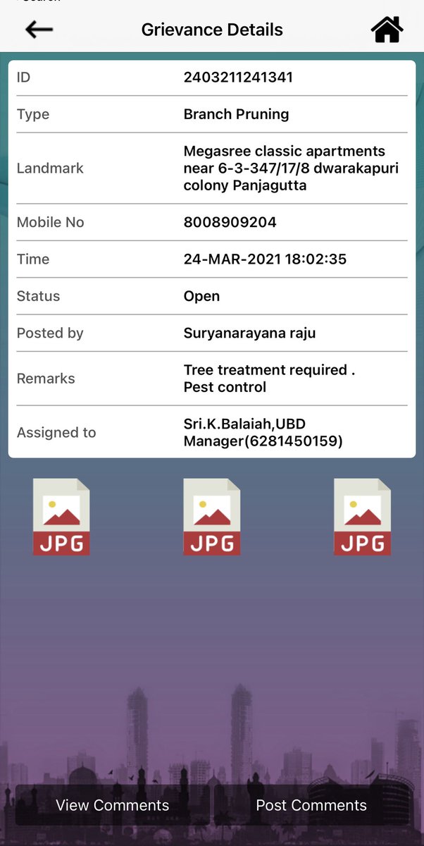 kannadatla's tweet photo. @GHMCOnline @KTRoffice @DC_Khairatabad @ZC_Khairatabad  termites all along the tree. Request to do the needful. Thank you https://t.co/U7jHGixGt5