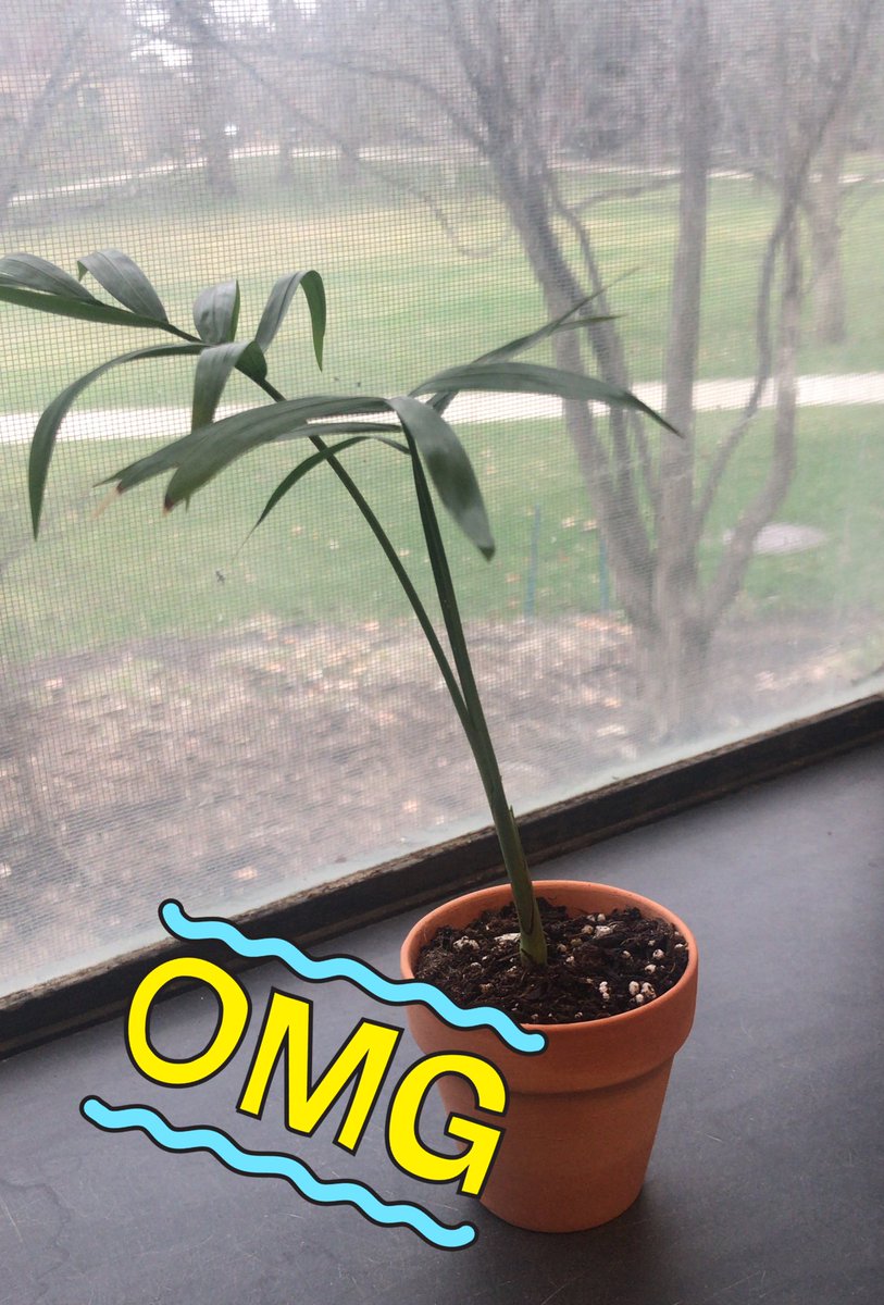 Dr. Doreen Chung tweet media