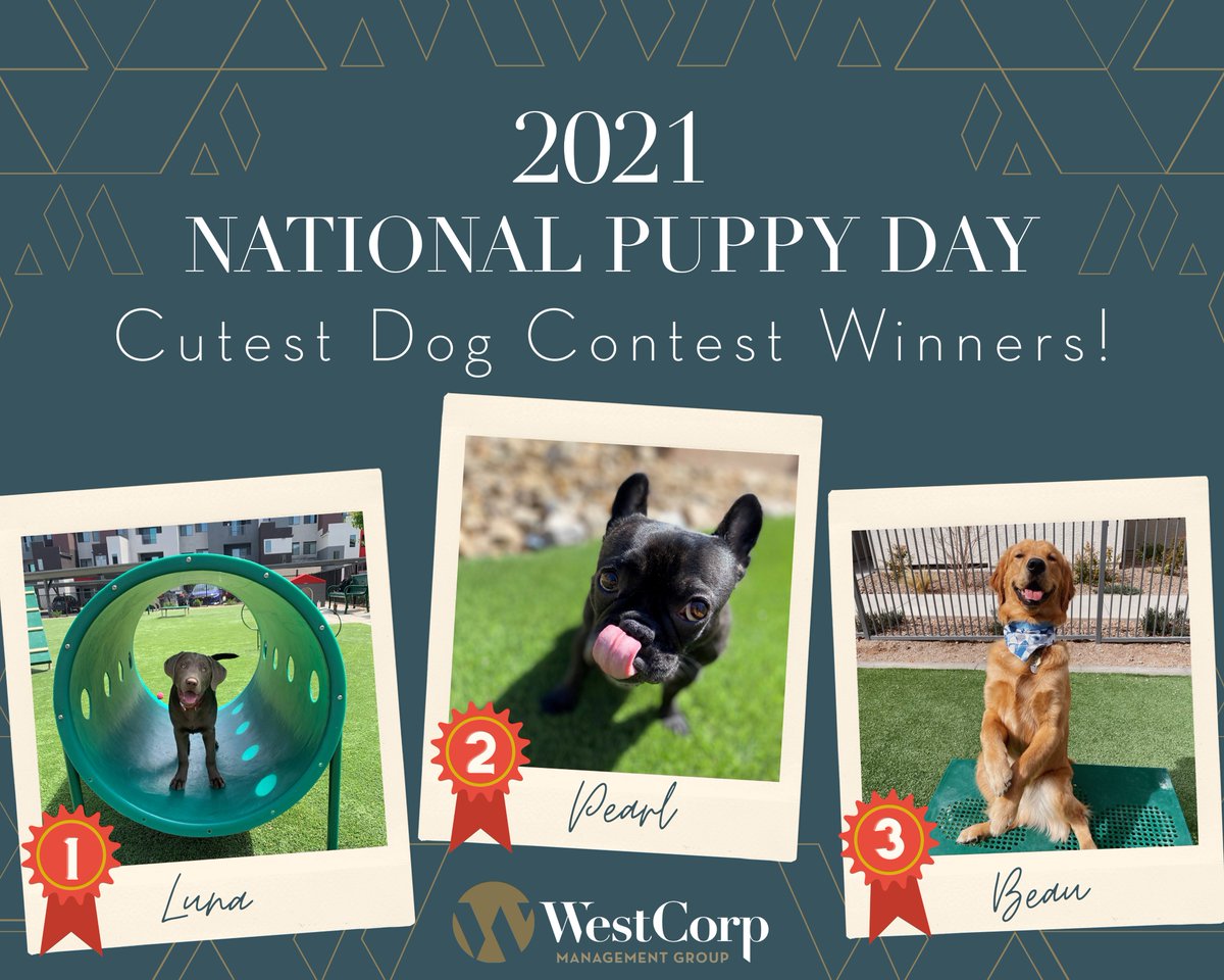 Congratulations to Luna, Pearl, and Beau! The winners of this year's WestCorp's National Puppy day Cutest Dog Contest. We are honored to manage pet-friendly properties, thank you for being so cute! 🐶