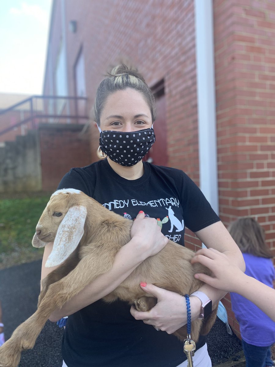 Bye guys, I’m retiring.  I’m going to be a goat farmer now. 🐐💜 So thankful to one of our <a href="/KCS_Kennedy/">Kennedy Elementary</a> parents for bringing in baby goats for a culminating hands-on Kindergarten event! 🐺💜 #ilovemyjob #andgoats
