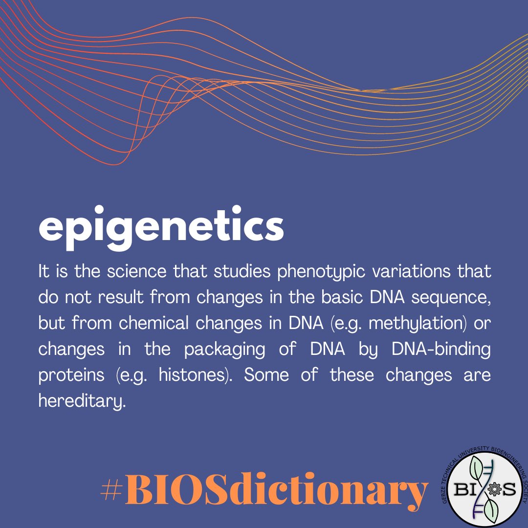 BiosGtu's tweet photo. DNA dizilerinde herhangi bir değişiklik olmaksızın gen anlatımında oluşan stabil ve kalıtsal değişimler, epigenetik #BIOSdictionary’de.
Yazar: Sena Bilgili
Editörler: Ezgi Şengül, Osman Sait Akbaş
Tasarım Editörü: Hatice Yaren Altunsoy https://t.co/wCBZ1nZzZc