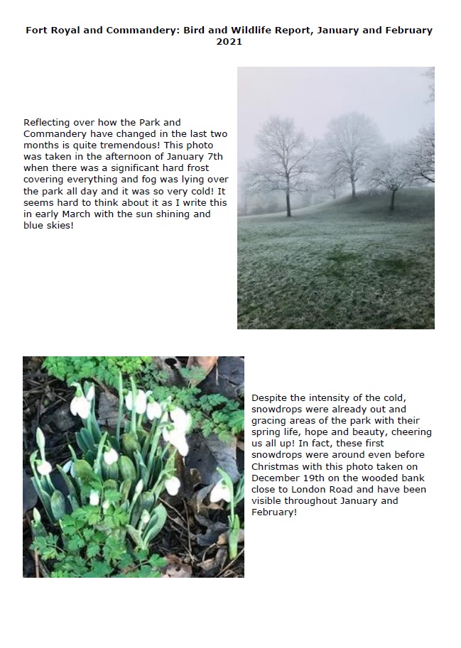 CommunityWorcs's tweet photo. Chris has been out spotting wildlife in Fort Royal Park again, check out her report for January and February!
@Friends of Fort Royal Park & Commandery Gardens @Worcester Parks
#wildlife #Fort Royal Park #Worcesterparks #Spring #birds #flowers #fungi https://t.co/sWyE6V3Pry
