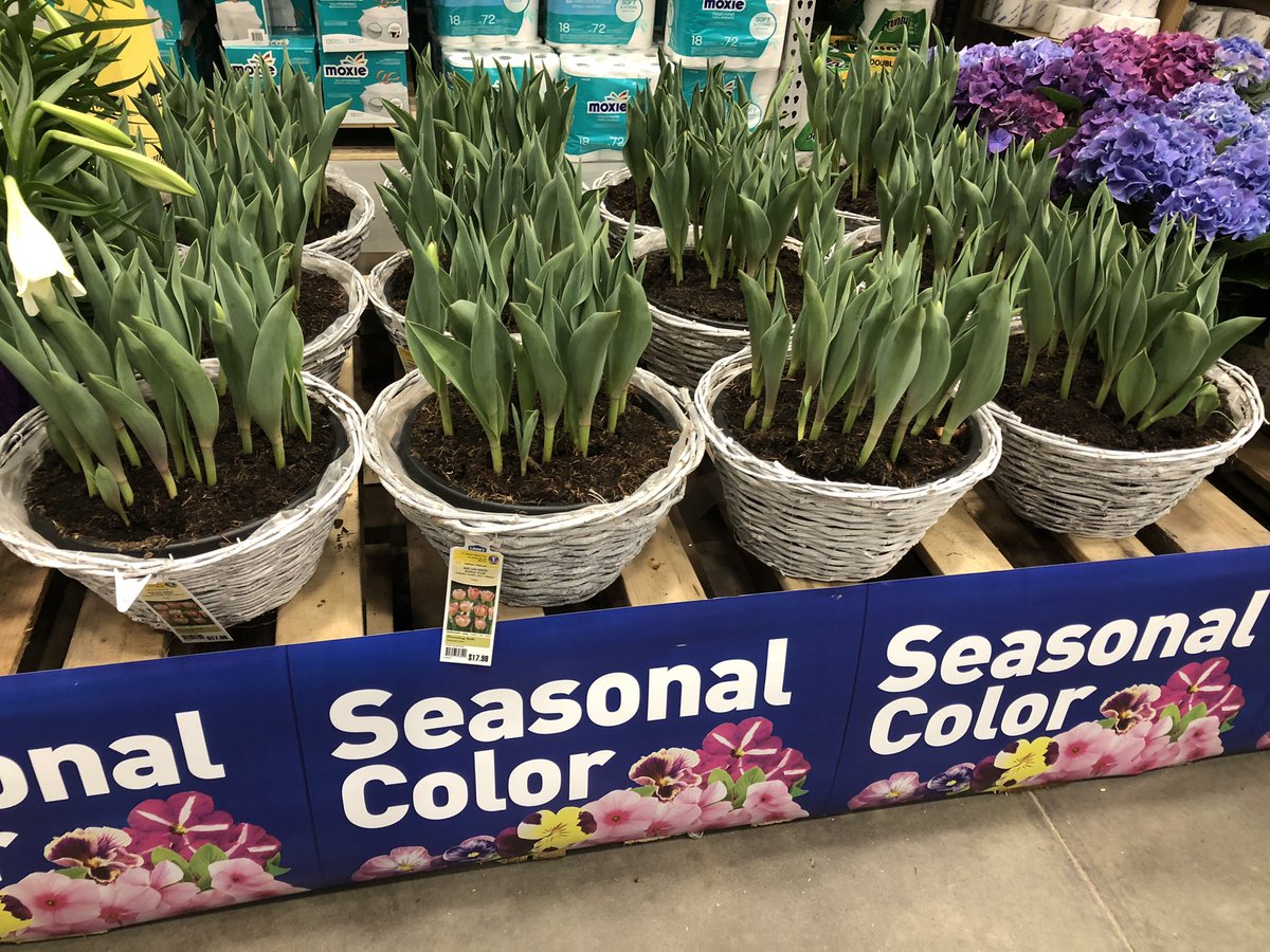 Todd S. - Battlefieldfarms tweet media