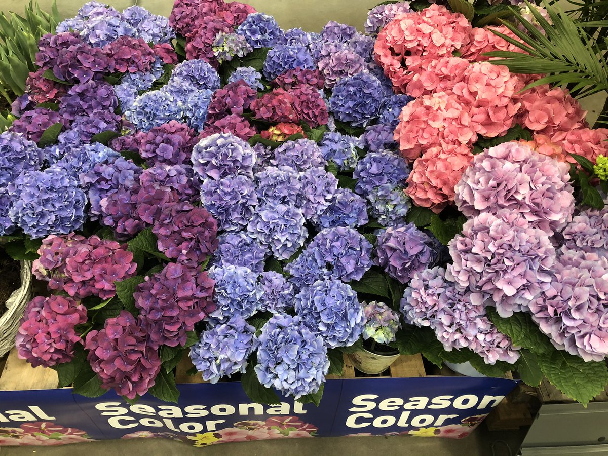 Todd S. - Battlefieldfarms tweet media