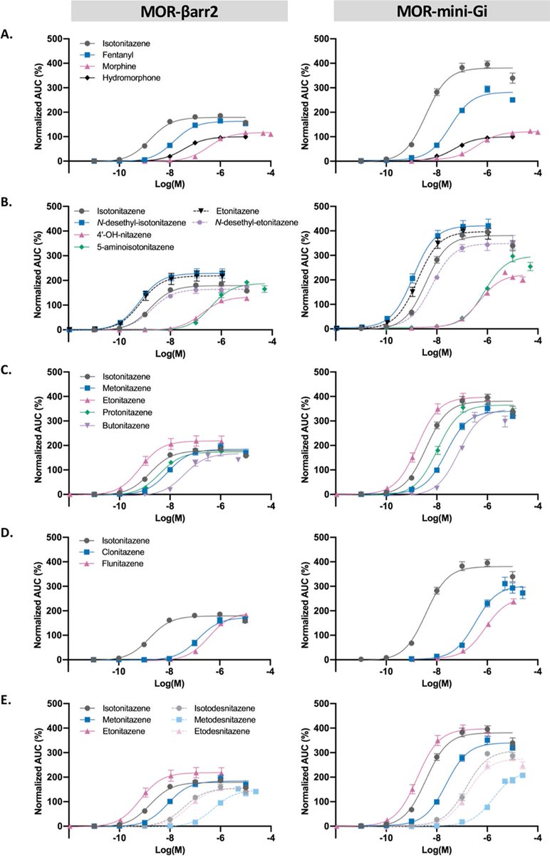 christophestove's tweet photo. Flunitazene: the next 'nitazene' to appear in cases.
Activity data shown below (panel D, pink) - for more background on activity, check out research paper by @Marthevdp et al. (https://t.co/w634uW5ekG) & #darkclassics review by @IUjvary et al. (https://t.co/MVoe01jthP)(2d online) https://t.co/EydNliqpSb