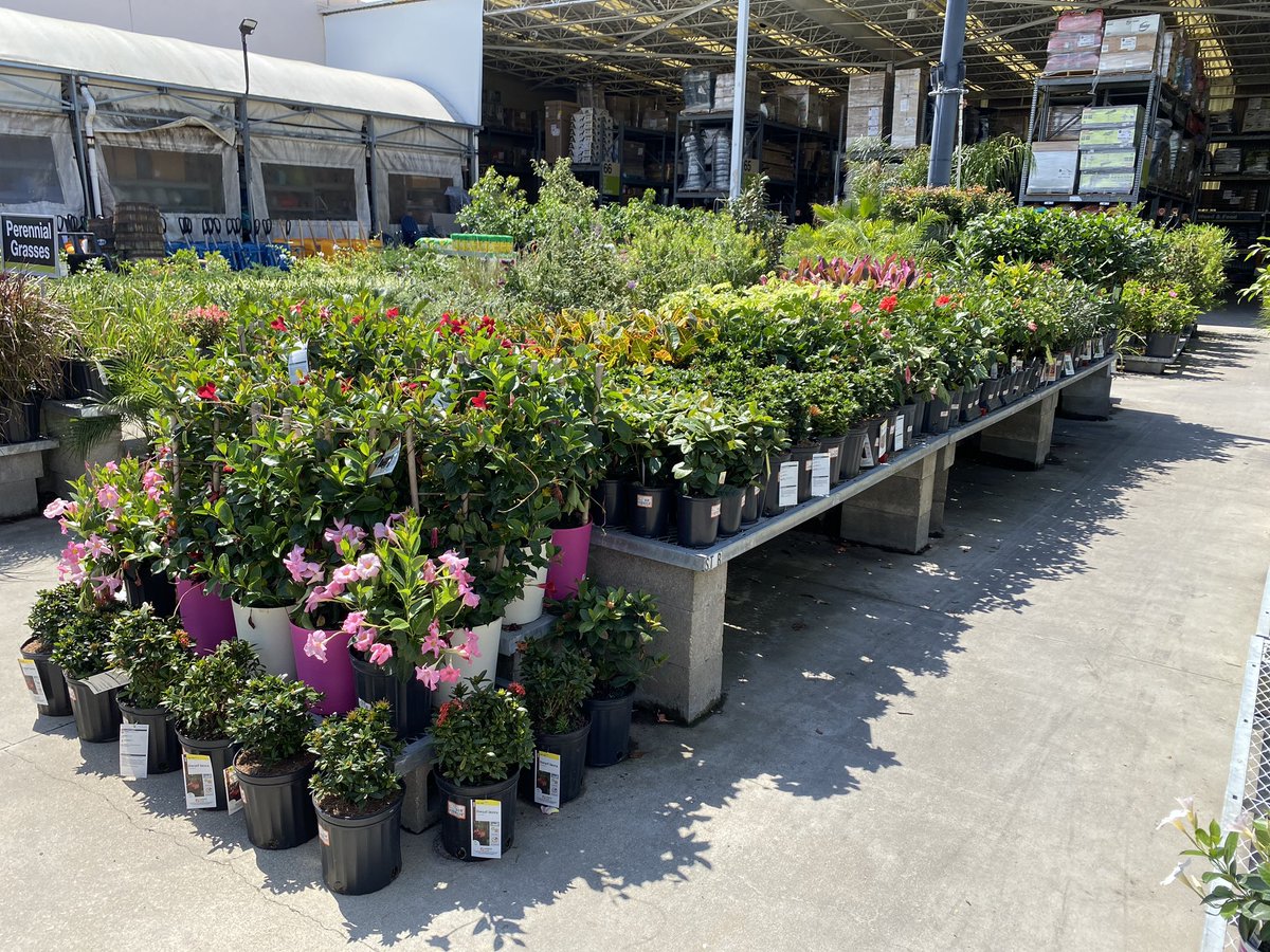 GregWilley4's tweet photo. HD 272 Regency Jax Florida. The store was merchandised well tables full and ready for high traffic weekend sales. https://t.co/Cq0BifA9ym