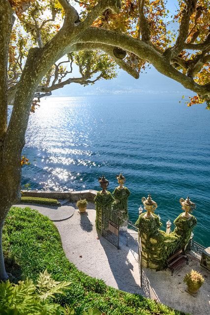 wolfiefendi's tweet photo. want to be in a place like this https://t.co/GIDPM9yWKm