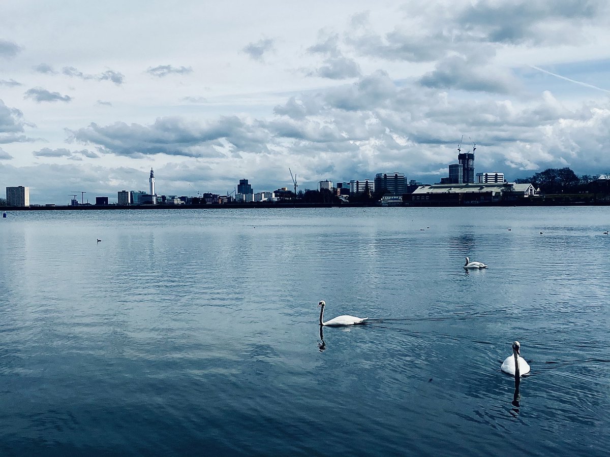 BirminghamWeAre's tweet photo. “Reservoir Swans” and a pretty lovely place to take in the City - let's look after our open spaces, our parks, our canals and our rivers - Courtesy @PeterLeadbetter #BirminghamPassion with #PeoplewithPassion https://t.co/6U6PJHMgKQ