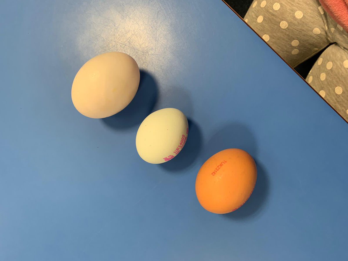 StCathWimborne's tweet photo. EYFS had a fun day today learning about chickens, doing some observational drawings and comparing eggs - colour, size (the large one is a duck egg). @PlymouthCAST https://t.co/s2aR1Mmde5
