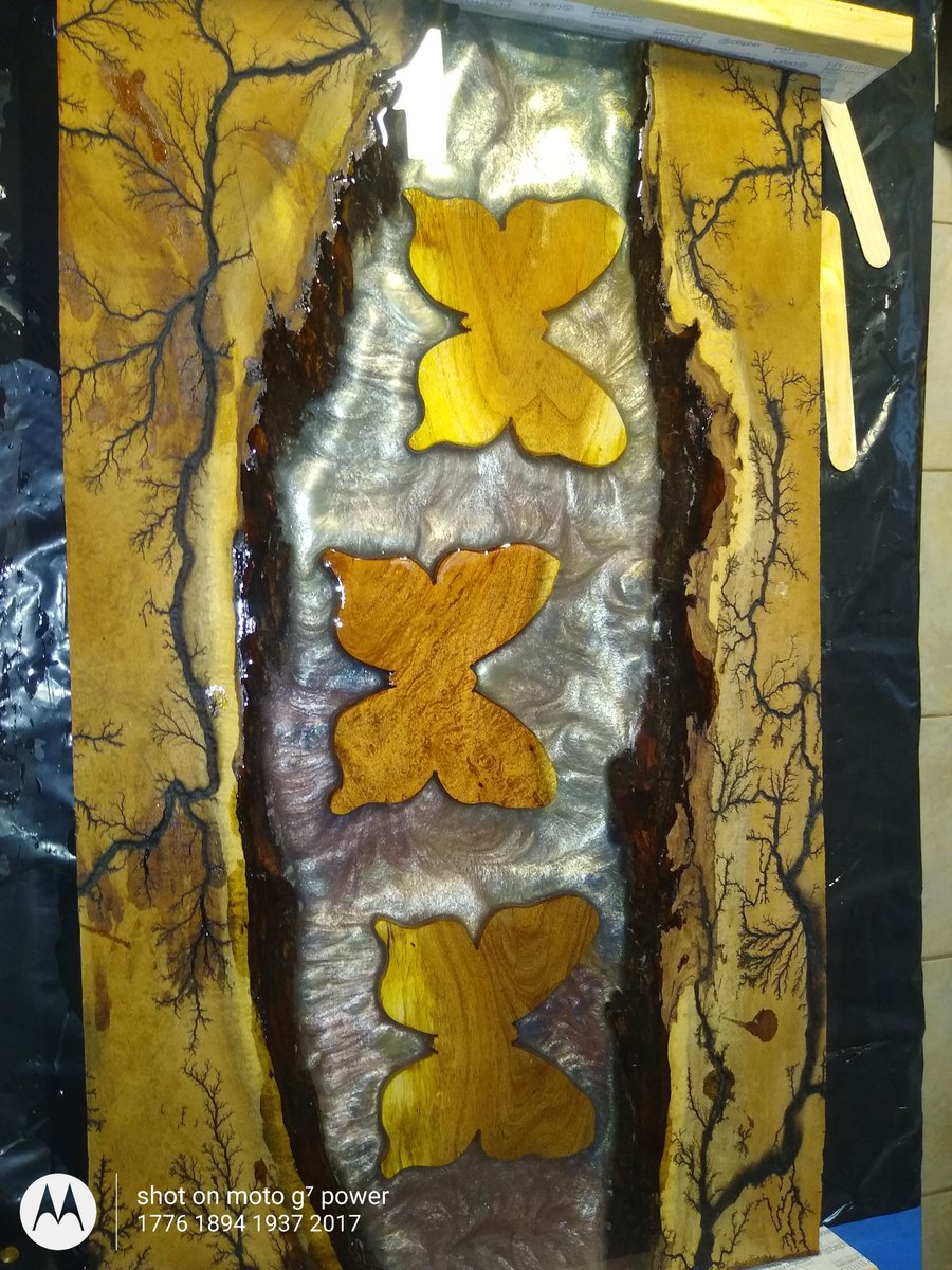 turopearl's tweet image. #butterfly #EffectAI